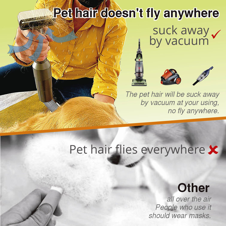 Dog brush that attaches to clearance vacuum